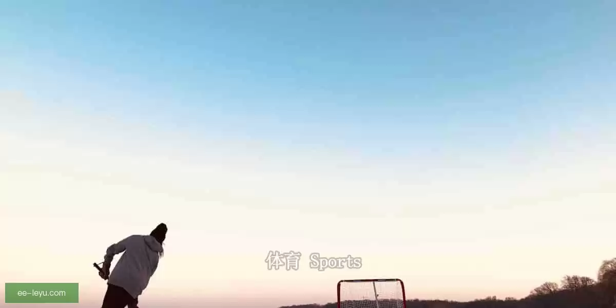 乐鱼体育-LEYU